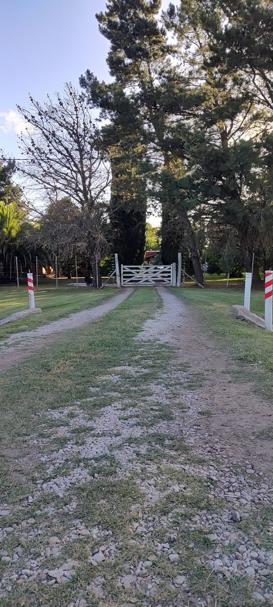 VENDO QUINTA CON DOS CASAS Y PISCINA - 34