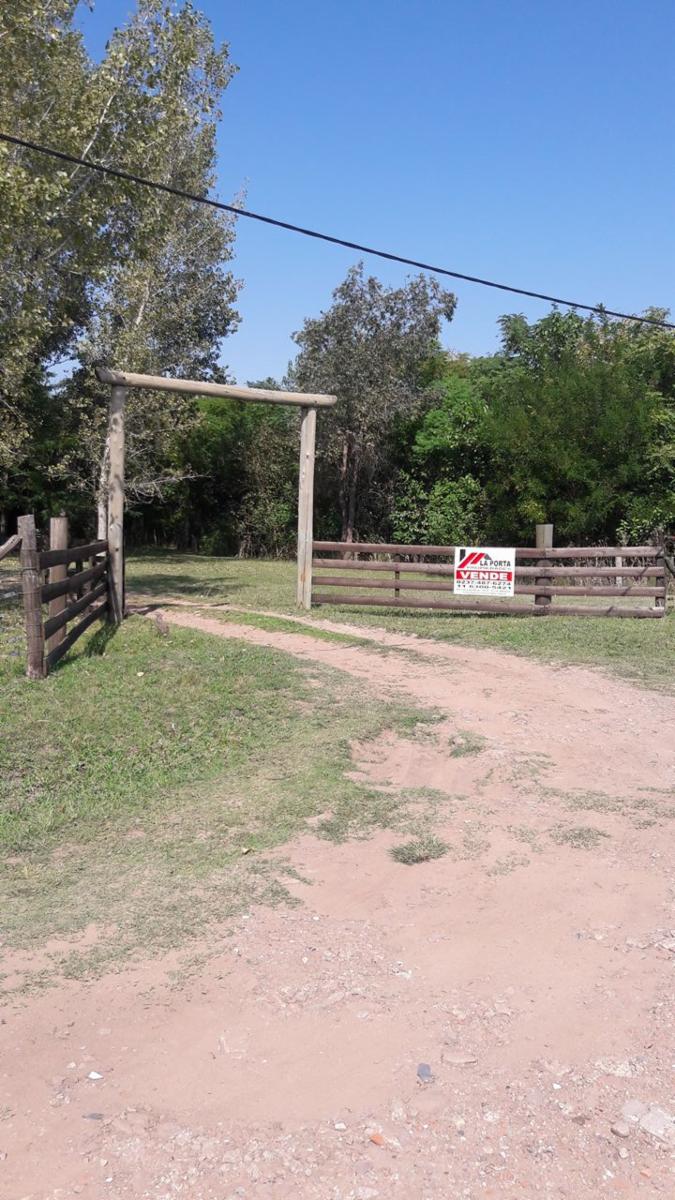 TRES HECTÁREAS EN VENTA CON CASA ESTILO CAMPO - 3