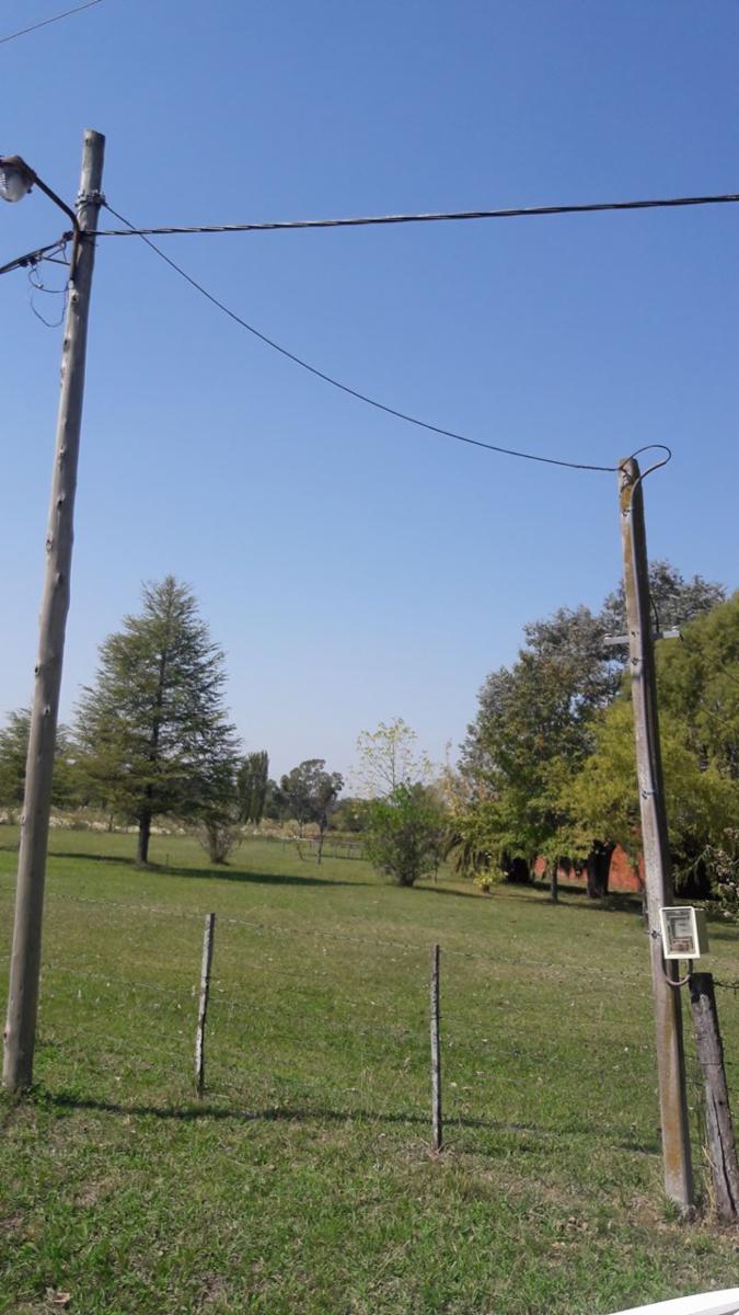 TRES HECTÁREAS EN VENTA CON CASA ESTILO CAMPO - 4
