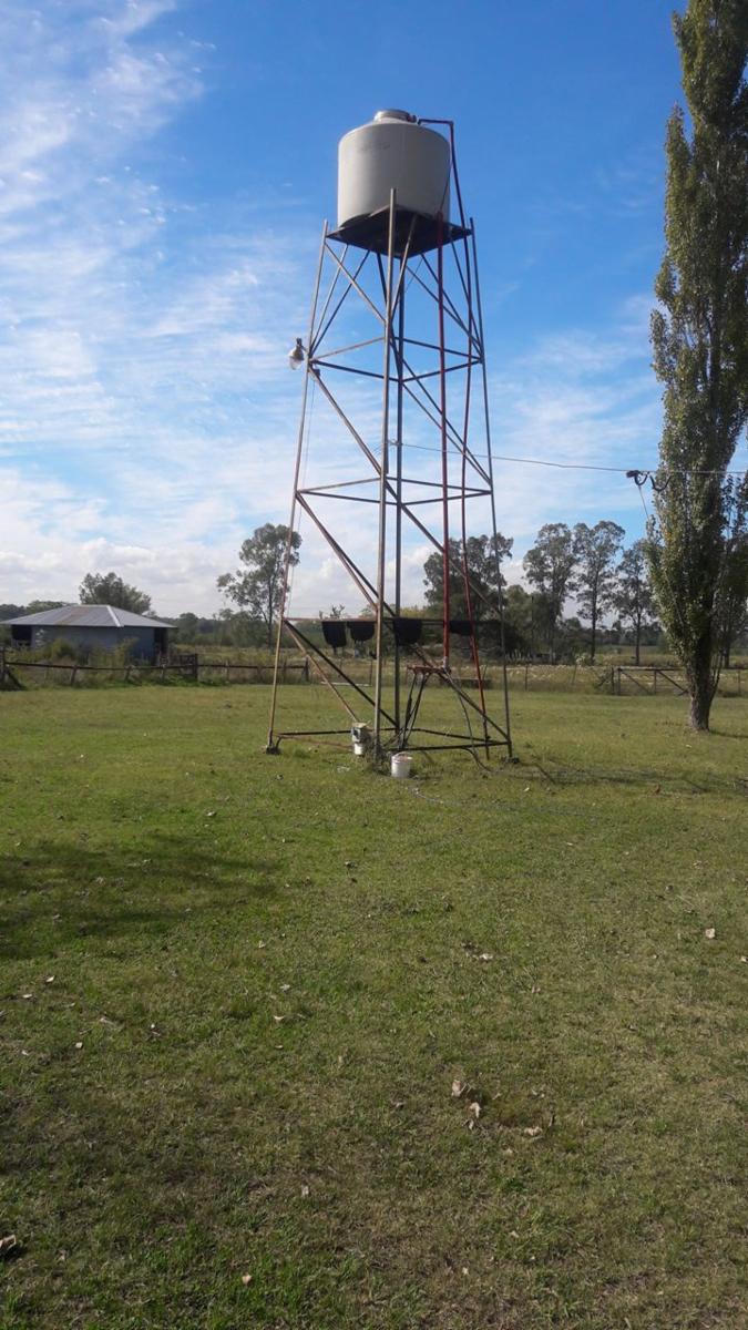 TRES HECTÁREAS EN VENTA CON CASA ESTILO CAMPO - 5