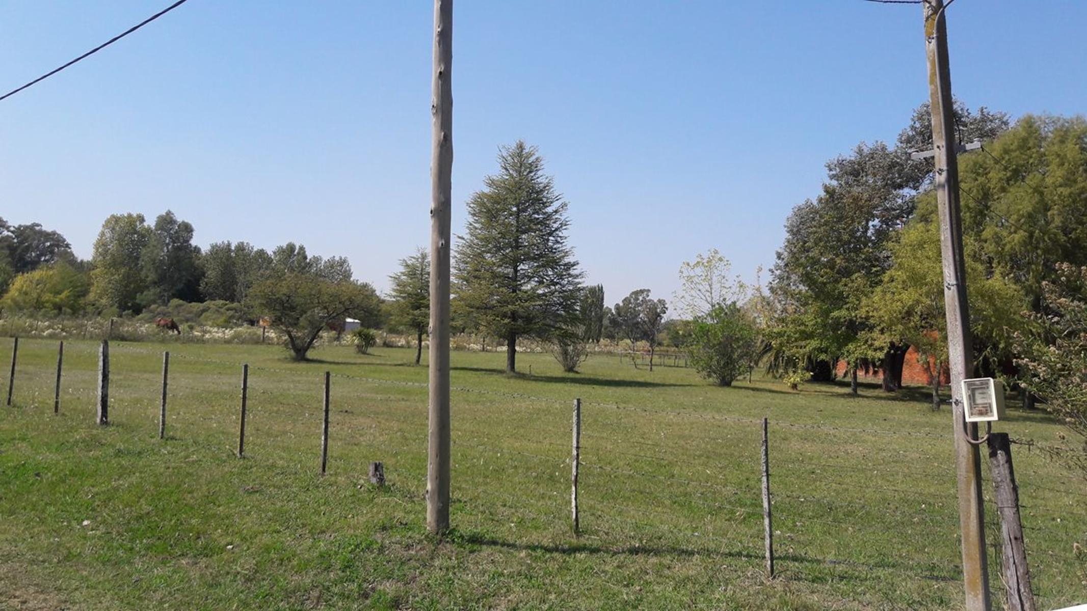 TRES HECTÁREAS EN VENTA CON CASA ESTILO CAMPO - 6