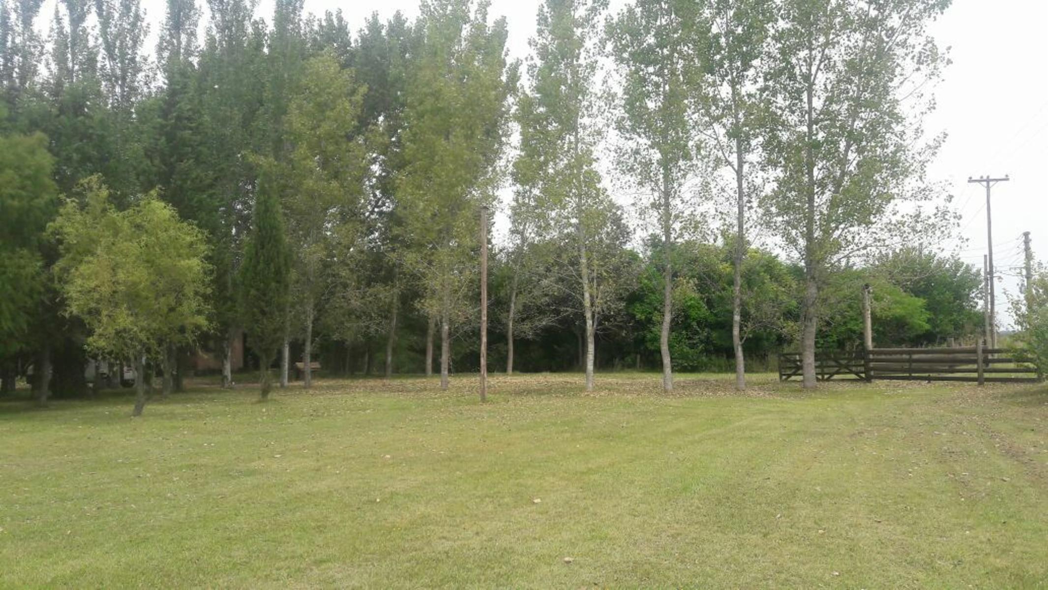 TRES HECTÁREAS EN VENTA CON CASA ESTILO CAMPO - 7