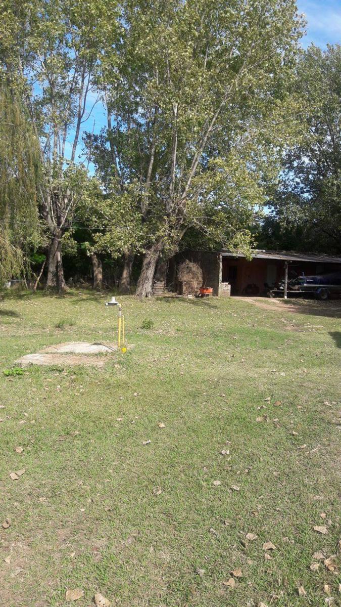 TRES HECTÁREAS EN VENTA CON CASA ESTILO CAMPO - 8
