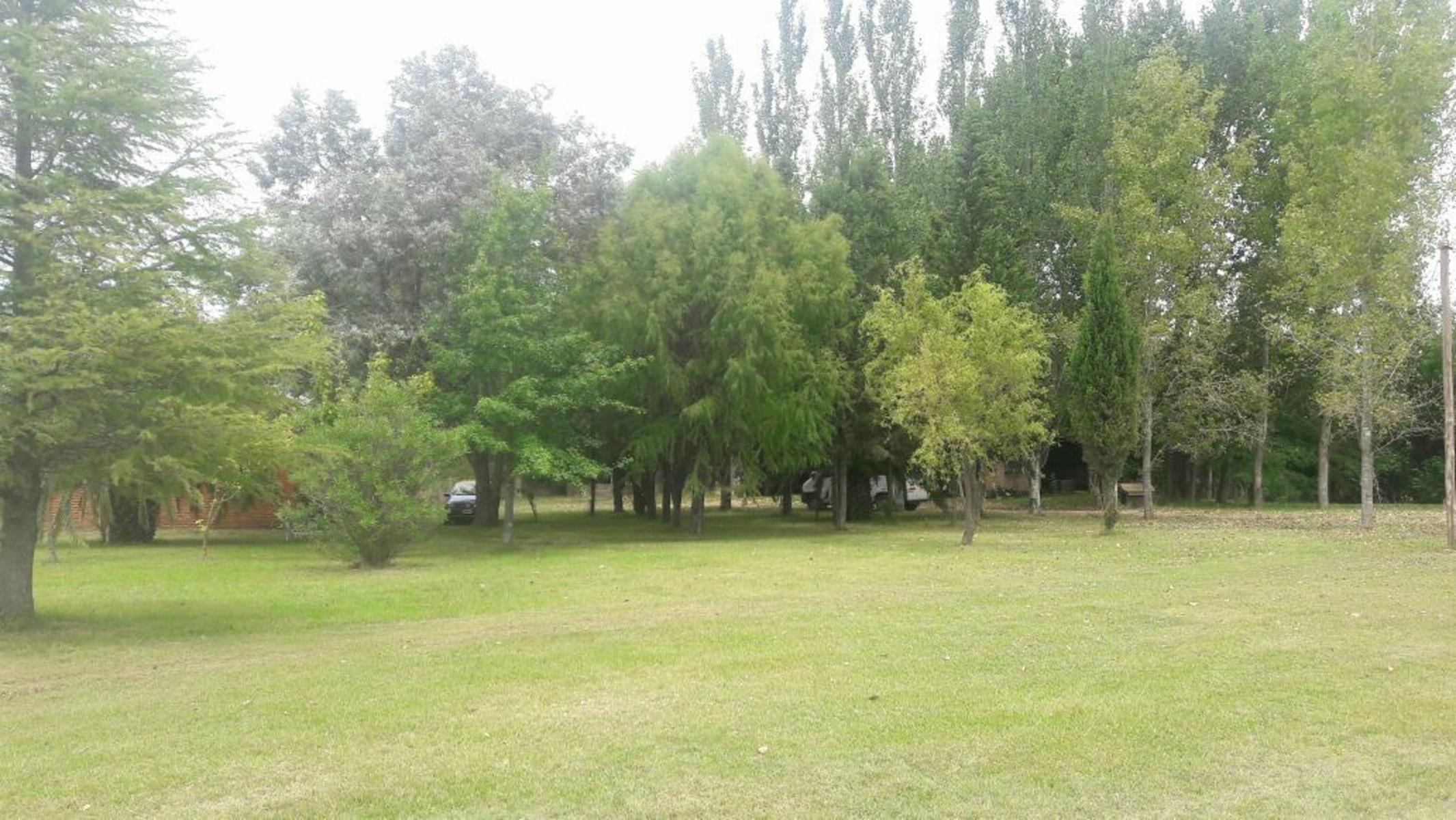 TRES HECTÁREAS EN VENTA CON CASA ESTILO CAMPO - 10