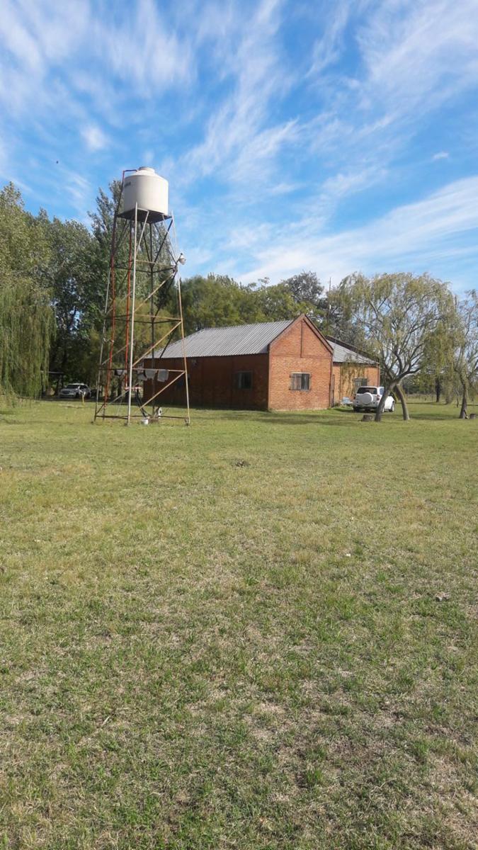 TRES HECTÁREAS EN VENTA CON CASA ESTILO CAMPO - 12
