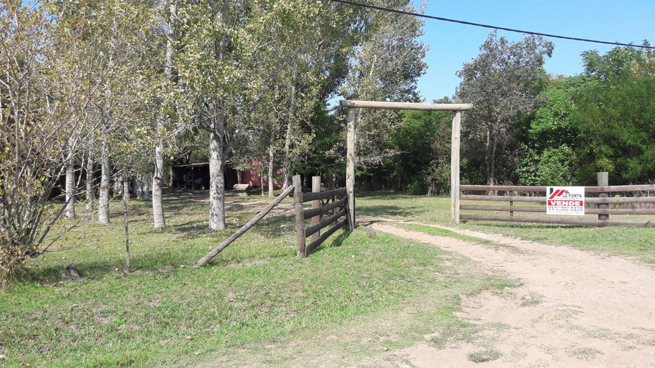 TRES HECTÁREAS EN VENTA CON CASA ESTILO CAMPO - 17