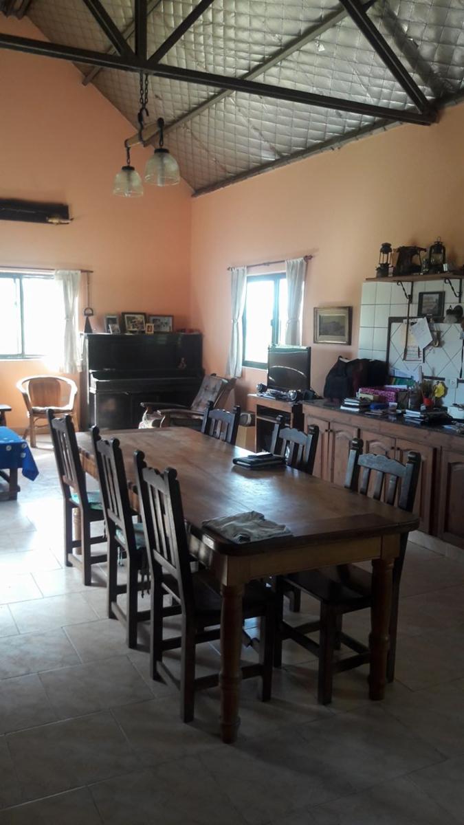 TRES HECTÁREAS EN VENTA CON CASA ESTILO CAMPO - 18