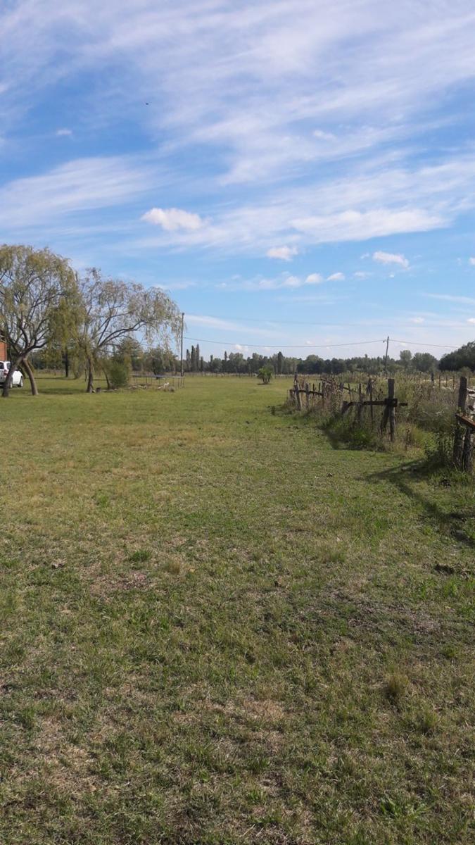 TRES HECTÁREAS EN VENTA CON CASA ESTILO CAMPO - 20