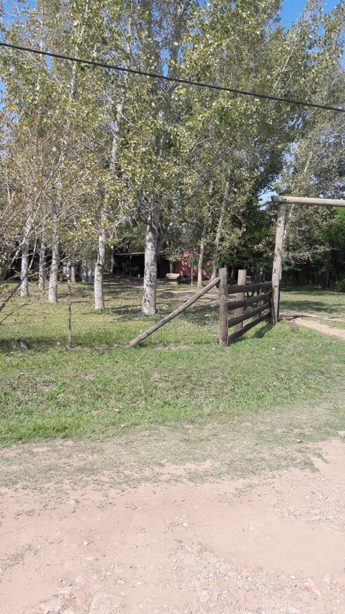 TRES HECTÁREAS EN VENTA CON CASA ESTILO CAMPO - 23