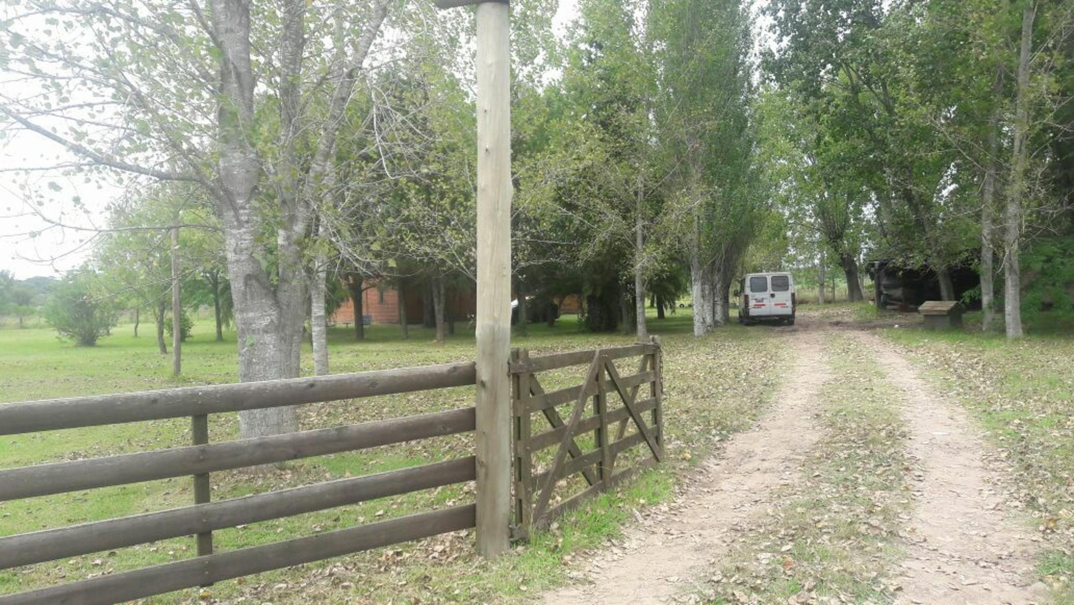 TRES HECTÁREAS EN VENTA CON CASA ESTILO CAMPO - 25