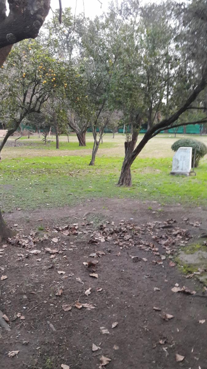 OPORTUNIDAD DE INVERSIÓN - 12