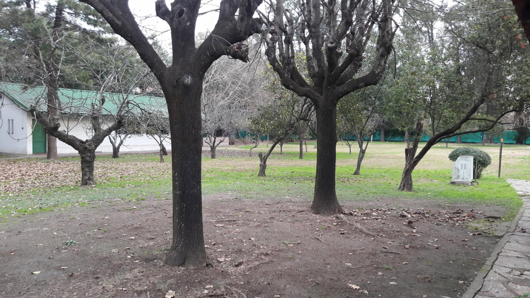 OPORTUNIDAD DE INVERSIÓN - 37