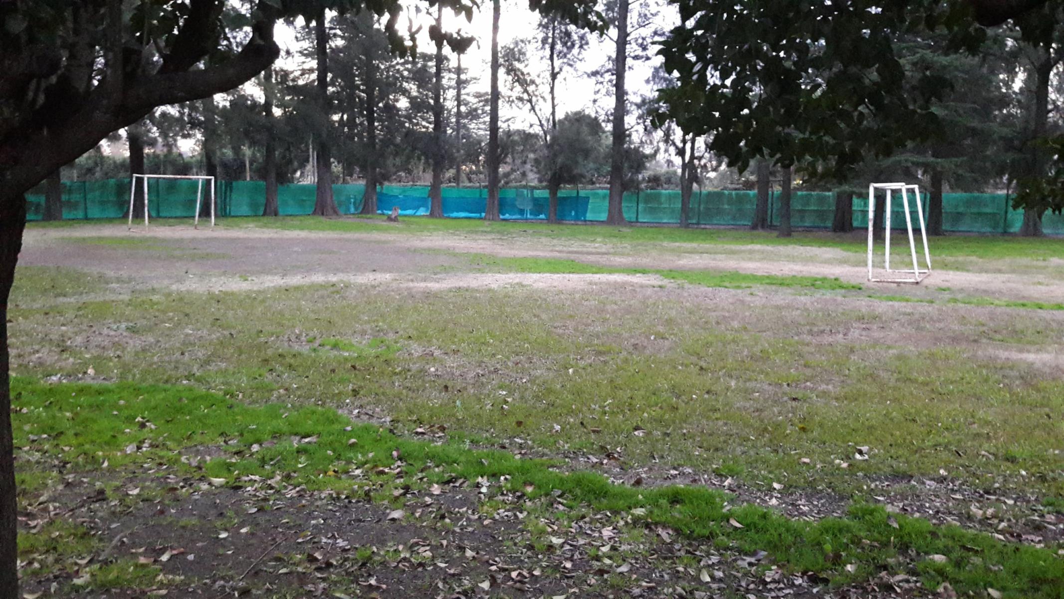 OPORTUNIDAD DE INVERSIÓN - 41