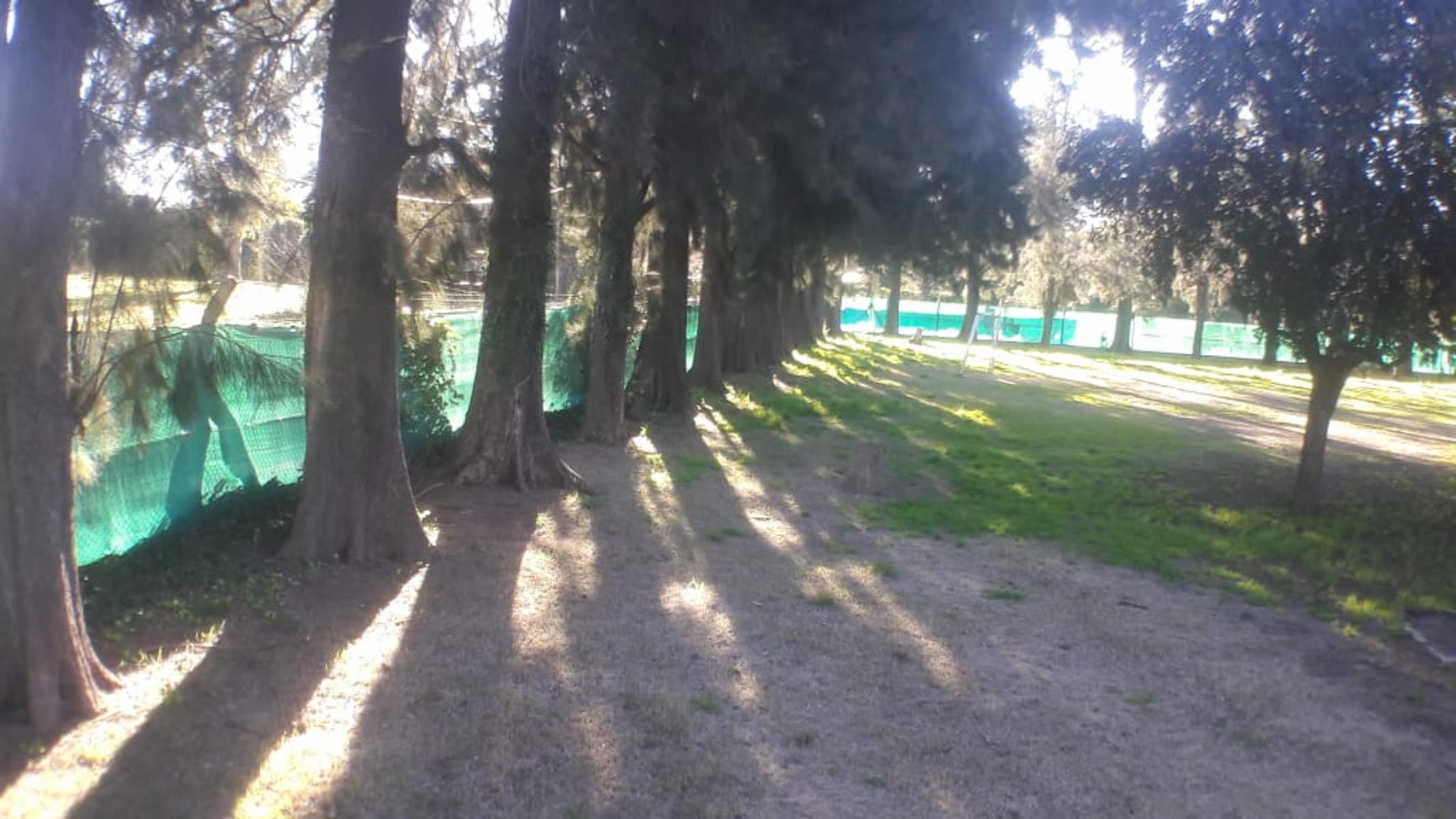 OPORTUNIDAD DE INVERSIÓN - 56