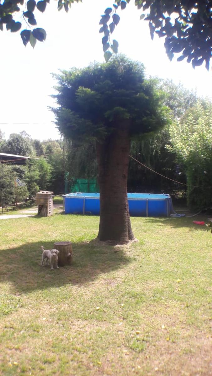 CASA EN VENTA céntrico a dos cuadras de Semana de Mayo. — foto 8
