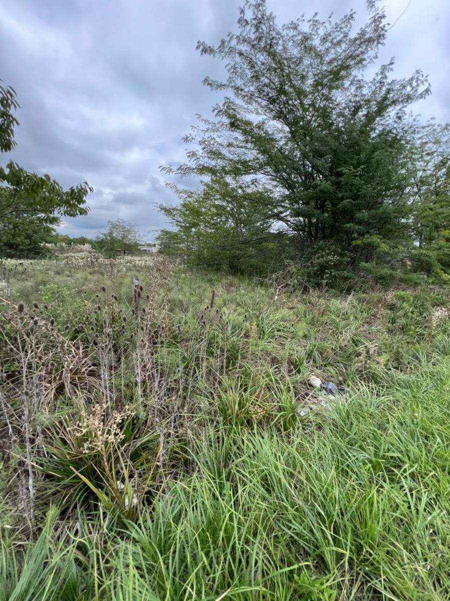 EXCELENTE TERRENO EN COLECTORA A LA VENTA EN LA ZONA DE GENERAL RODRIGUEZ — foto 3