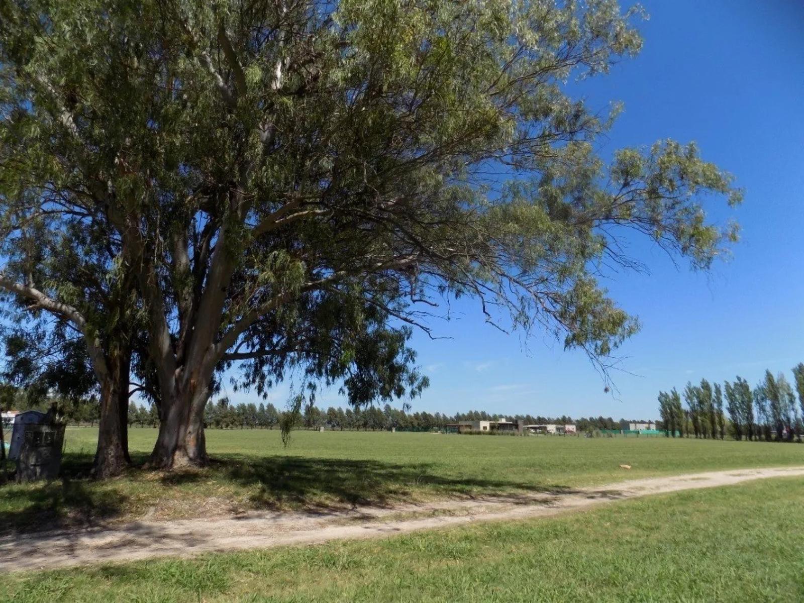HERMOSO LOTE EN EL ESPINILLO GOLF — foto 3