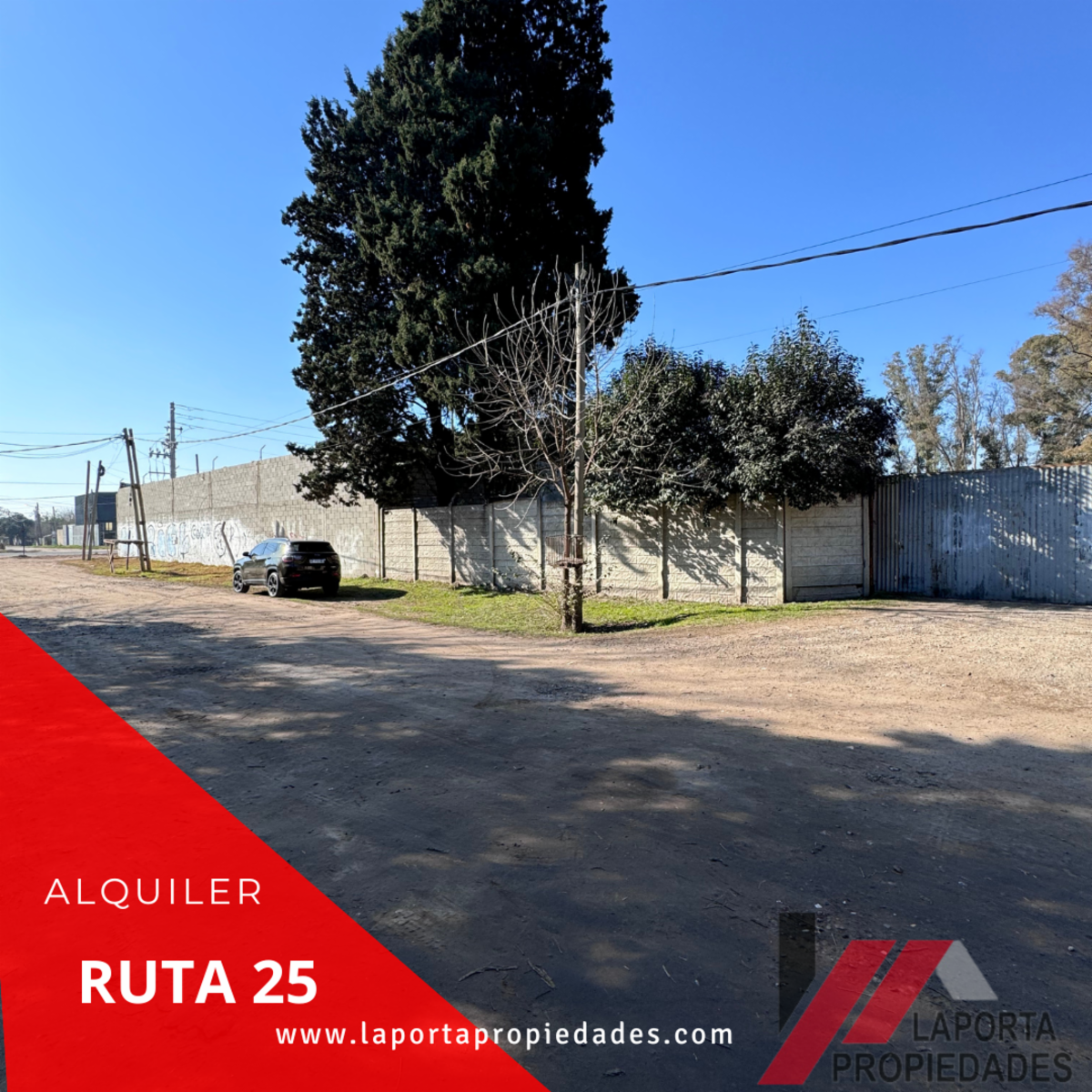 EXCELENTE LOTE EN ALQUILER - 2