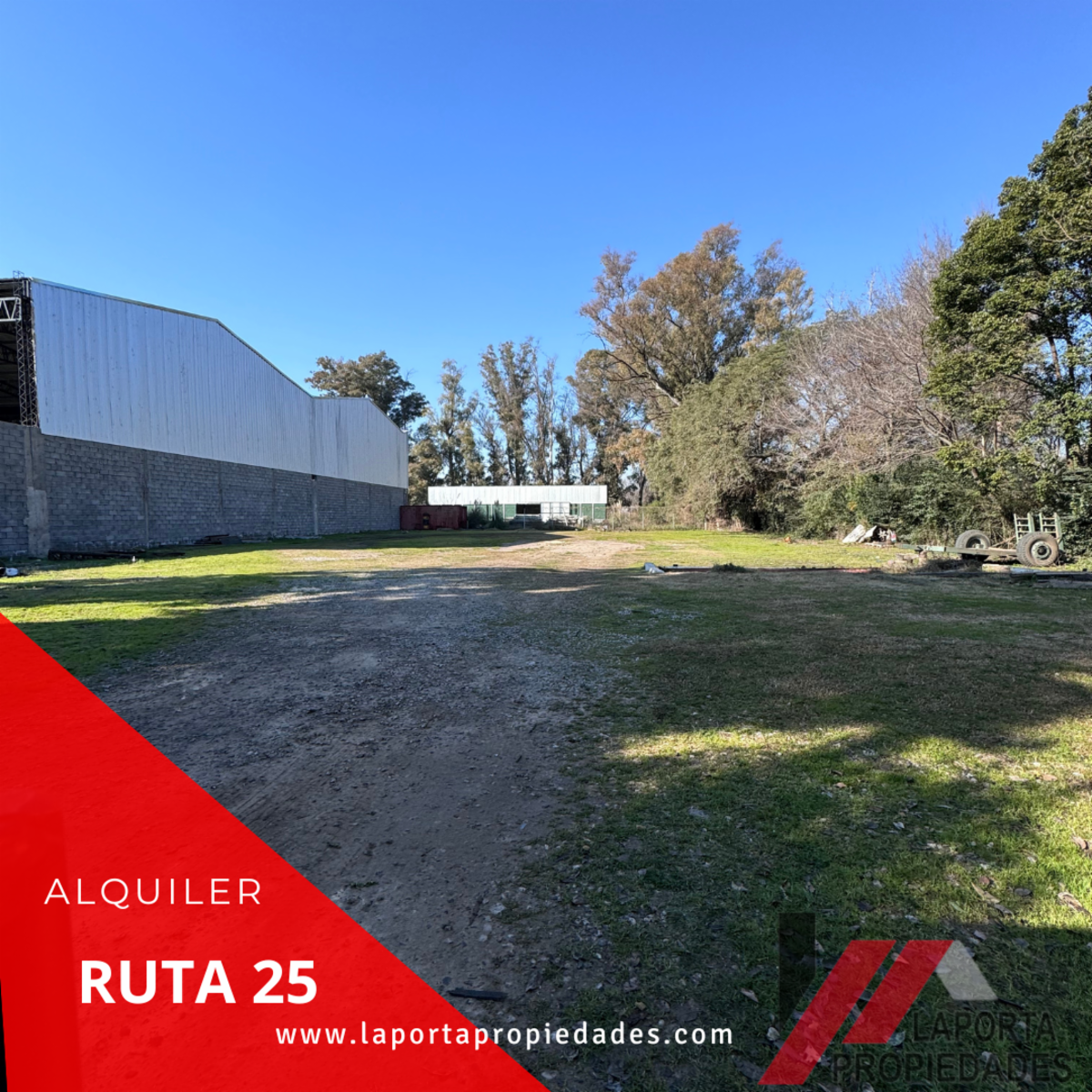 EXCELENTE LOTE EN ALQUILER - 3