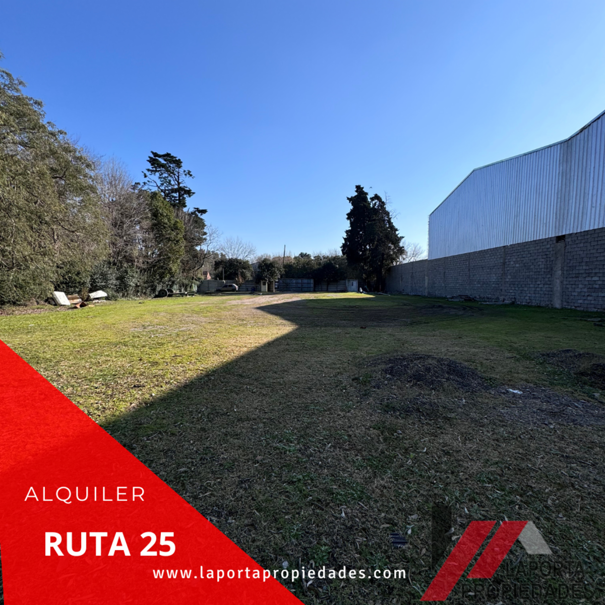 EXCELENTE LOTE EN ALQUILER - 4