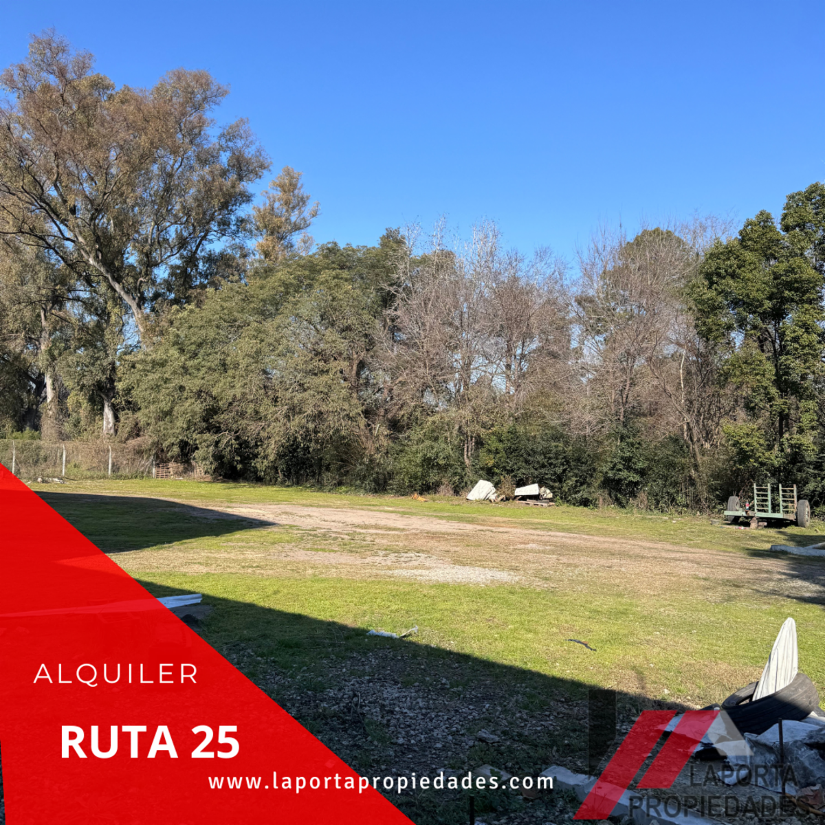 EXCELENTE LOTE EN ALQUILER - 5