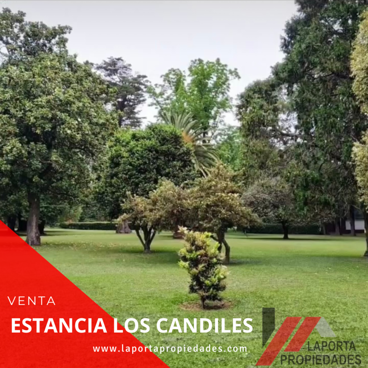 ESTANCIA A LA VENTA EN SOLIS - 2
