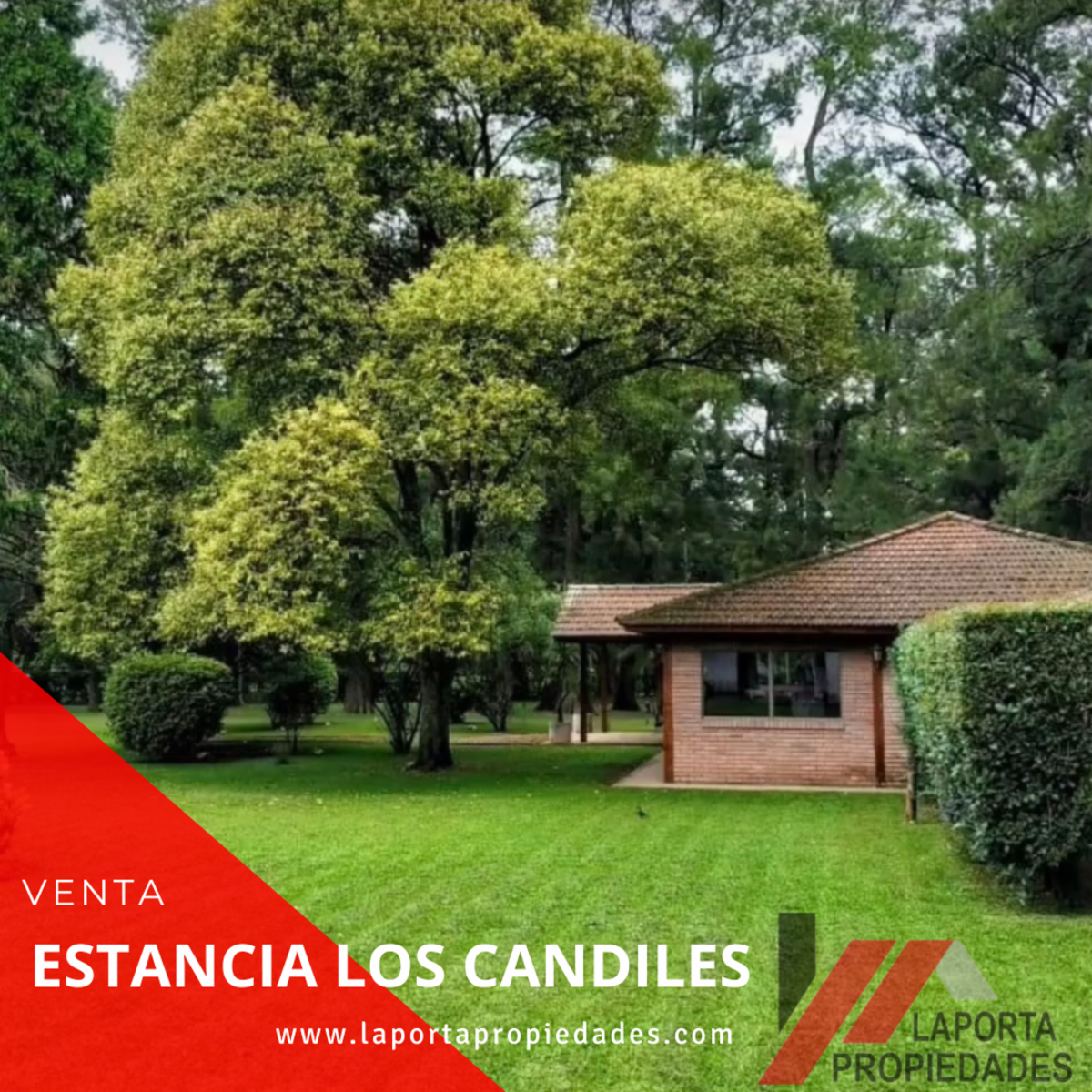 ESTANCIA A LA VENTA EN SOLIS - 5