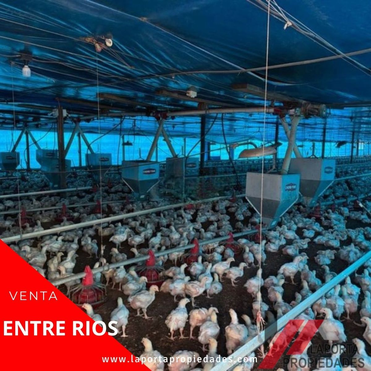 GRANJA AGRICOLA A LA VENTA - 7