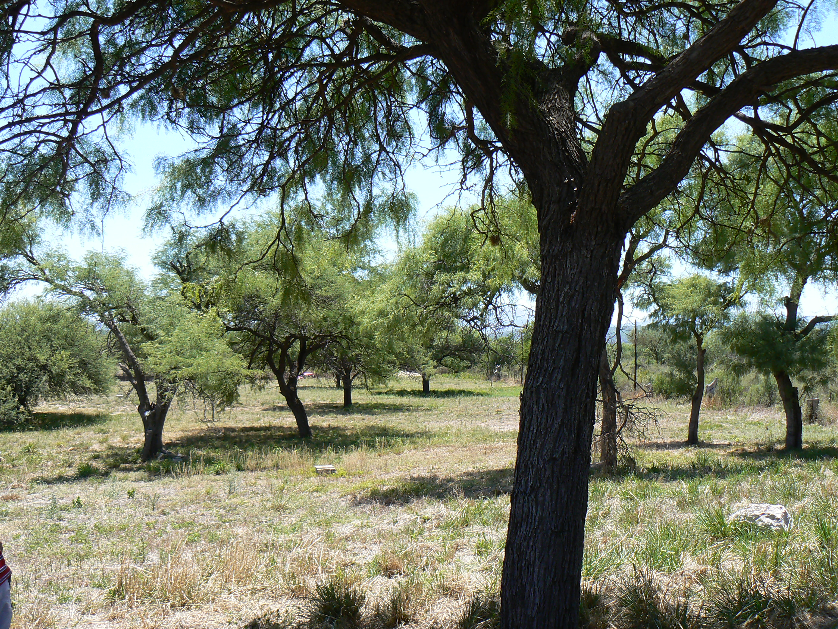 VENDO EXCELENTE TERRENO EN SAN MARCOS SIERRAS, 2 HA PARQUIZADAS, ALAMBRADAS CON LUZ Y AGUA U$S 64.500 - 2
