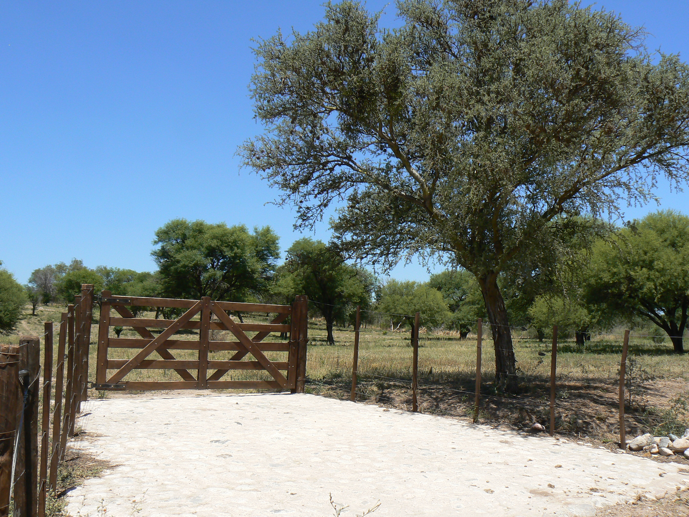 VENDO EXCELENTE TERRENO EN SAN MARCOS SIERRAS, 2 HA PARQUIZADAS, ALAMBRADAS CON LUZ Y AGUA U$S 64.500 - 3