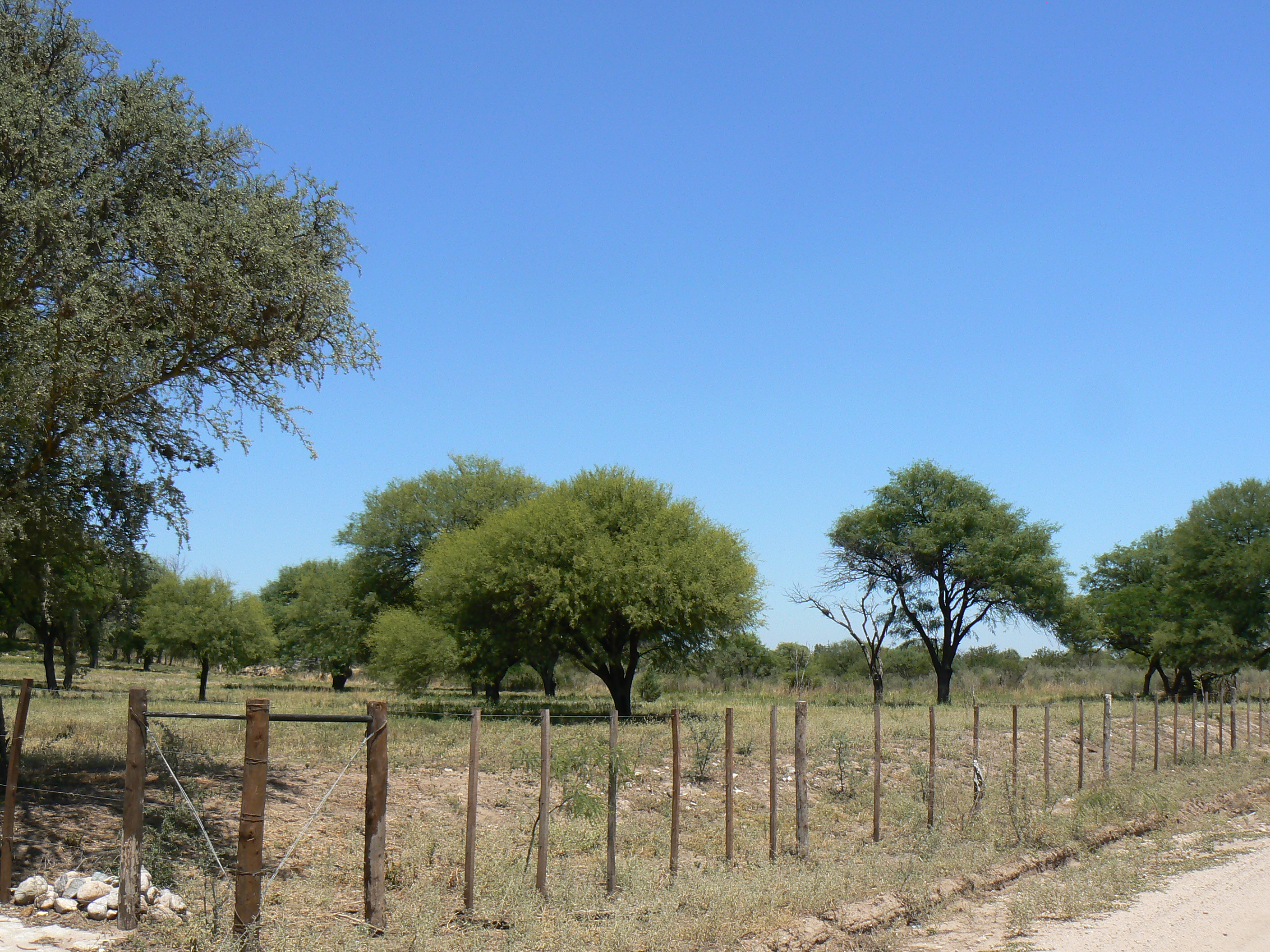 VENDO EXCELENTE TERRENO EN SAN MARCOS SIERRAS, 2 HA PARQUIZADAS, ALAMBRADAS CON LUZ Y AGUA U$S 64.500 - 4