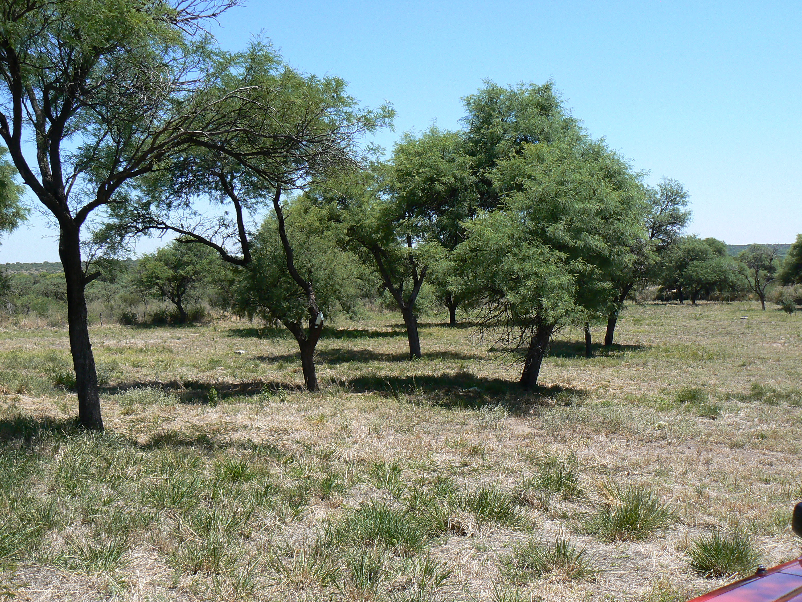 VENDO EXCELENTE TERRENO EN SAN MARCOS SIERRAS, 2 HA PARQUIZADAS, ALAMBRADAS CON LUZ Y AGUA U$S 64.500 - 5