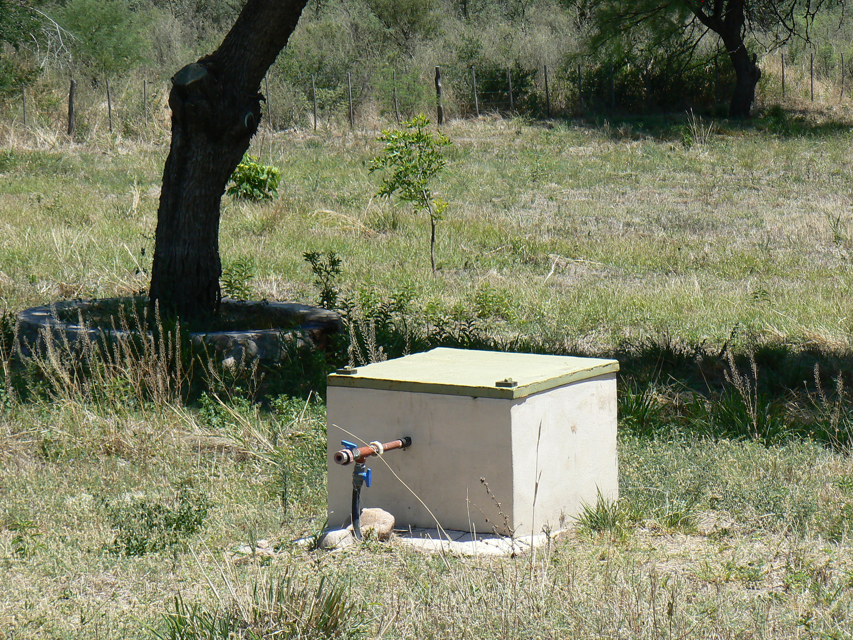 VENDO EXCELENTE TERRENO EN SAN MARCOS SIERRAS, 2 HA PARQUIZADAS, ALAMBRADAS CON LUZ Y AGUA U$S 64.500 - 6