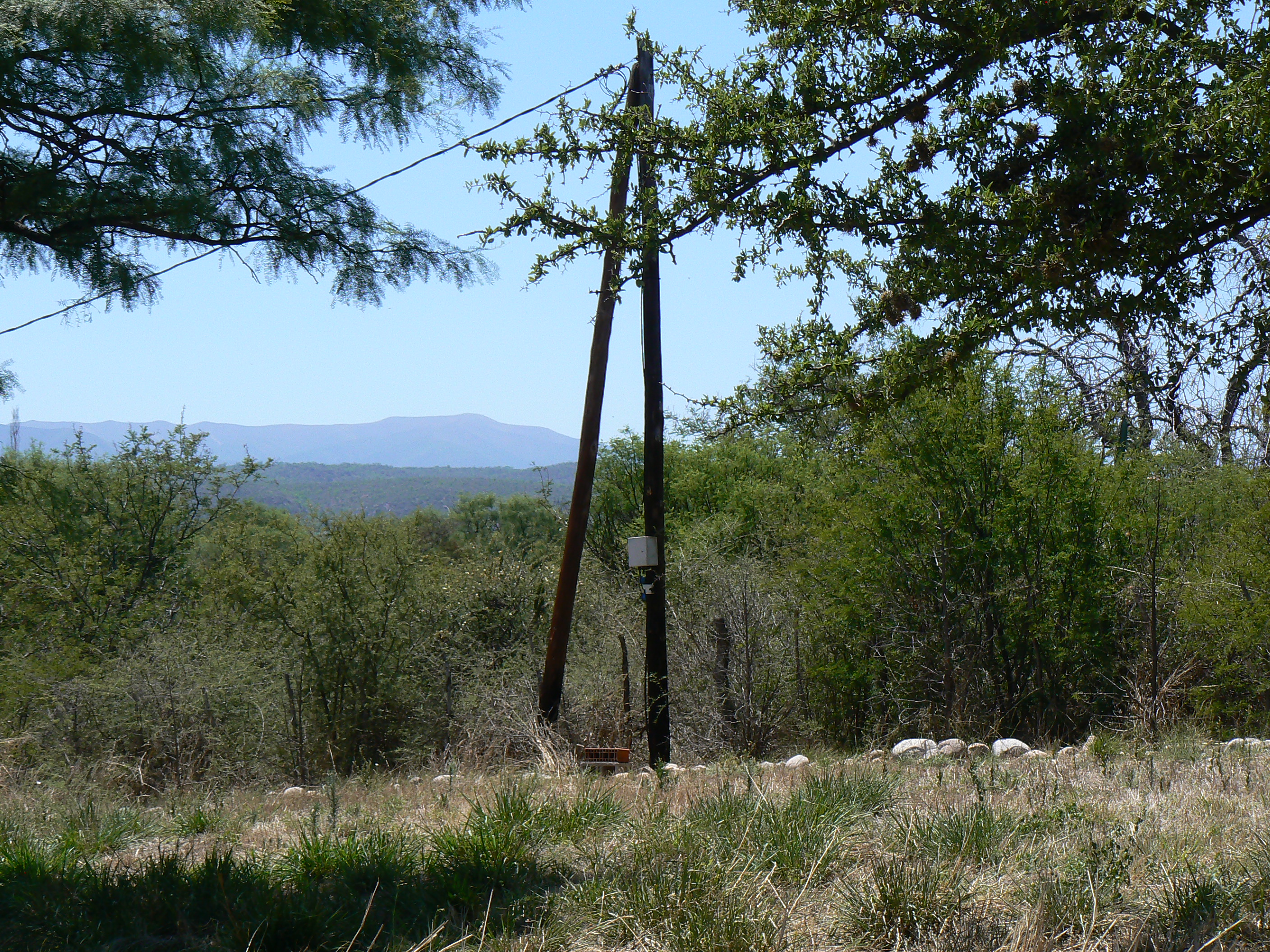 VENDO EXCELENTE TERRENO EN SAN MARCOS SIERRAS, 2 HA PARQUIZADAS, ALAMBRADAS CON LUZ Y AGUA U$S 64.500 - 8