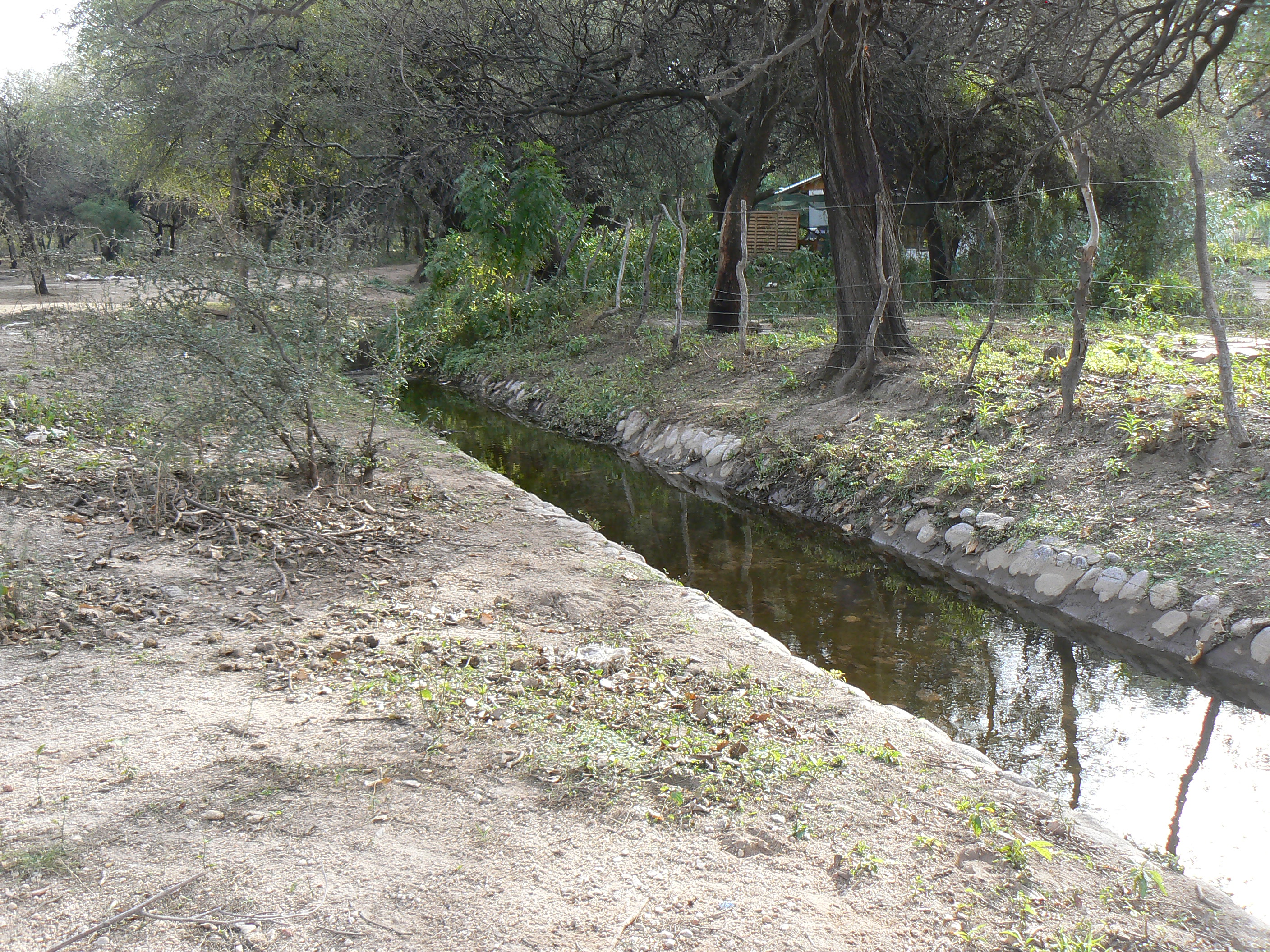 TERRENO CON HERMOSOS ALGARROBOS EN SAN MARCOS 1000 M2 - 2