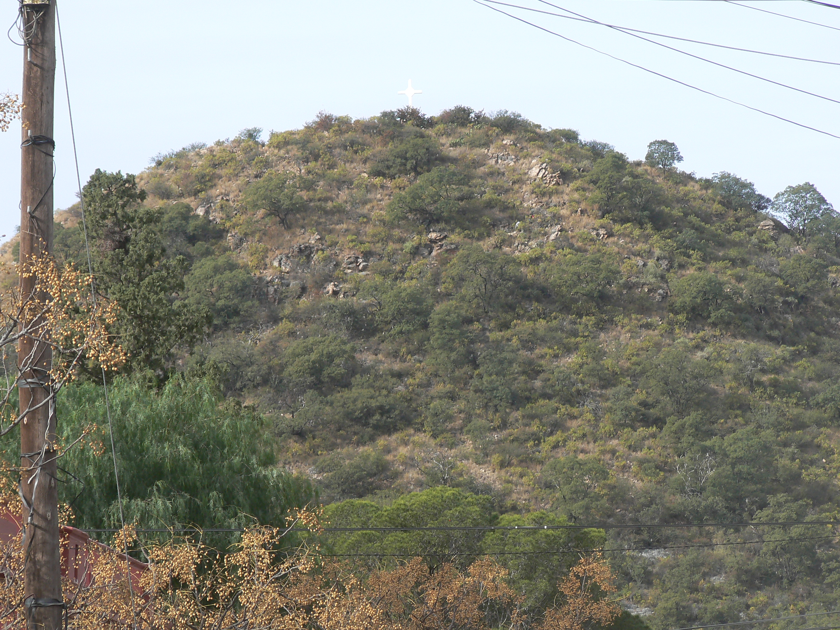 TERRENO CON HERMOSOS ALGARROBOS EN SAN MARCOS 1000 M2 - 5
