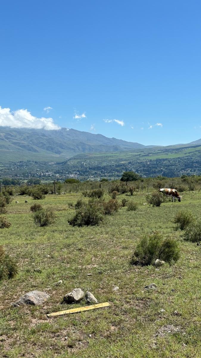 EN VENTA LOTES EN LA ALMUDENA TAFI DEL VALLE — foto 12