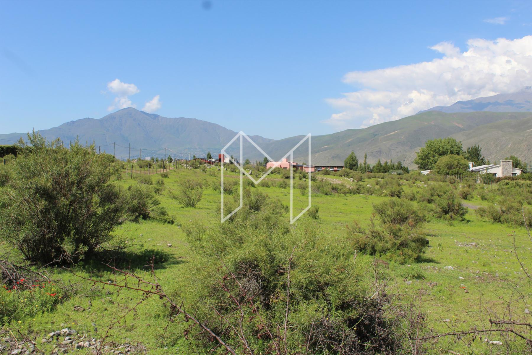 EN VENTA LOTE DE 4642 m2 EN LA COSTA I, TAFI DEL VALLE — foto 2