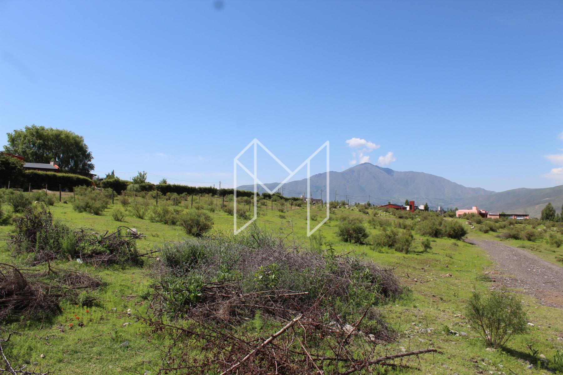 EN VENTA LOTE DE 4642 m2 EN LA COSTA I, TAFI DEL VALLE — foto 3