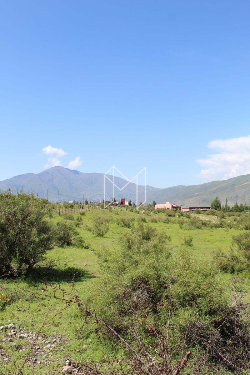 EN VENTA LOTE DE 4642 m2 EN LA COSTA I, TAFI DEL VALLE — foto 5