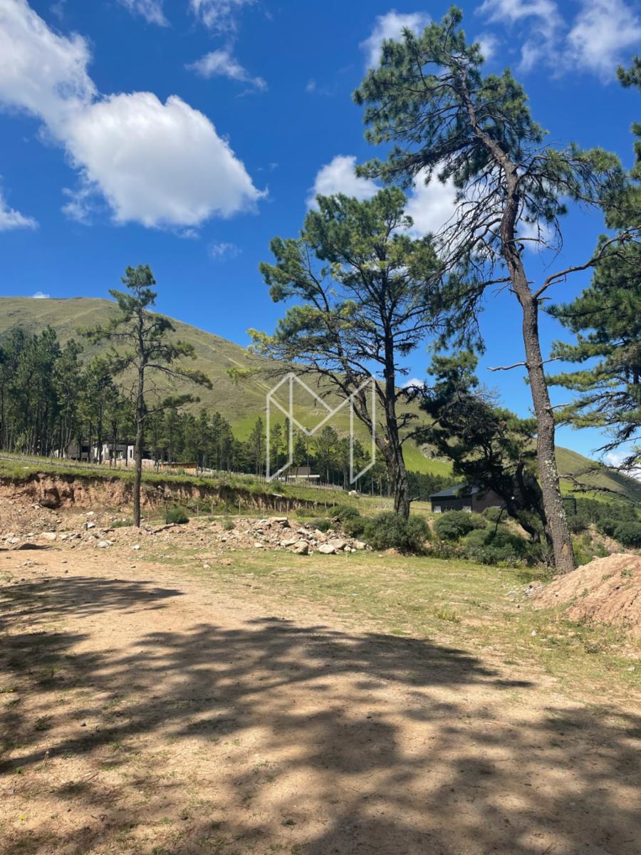 EN VENTA DOS LOTES DE 2000 M2 EN EL PINAR, TAFI DEL VALLE — foto 3