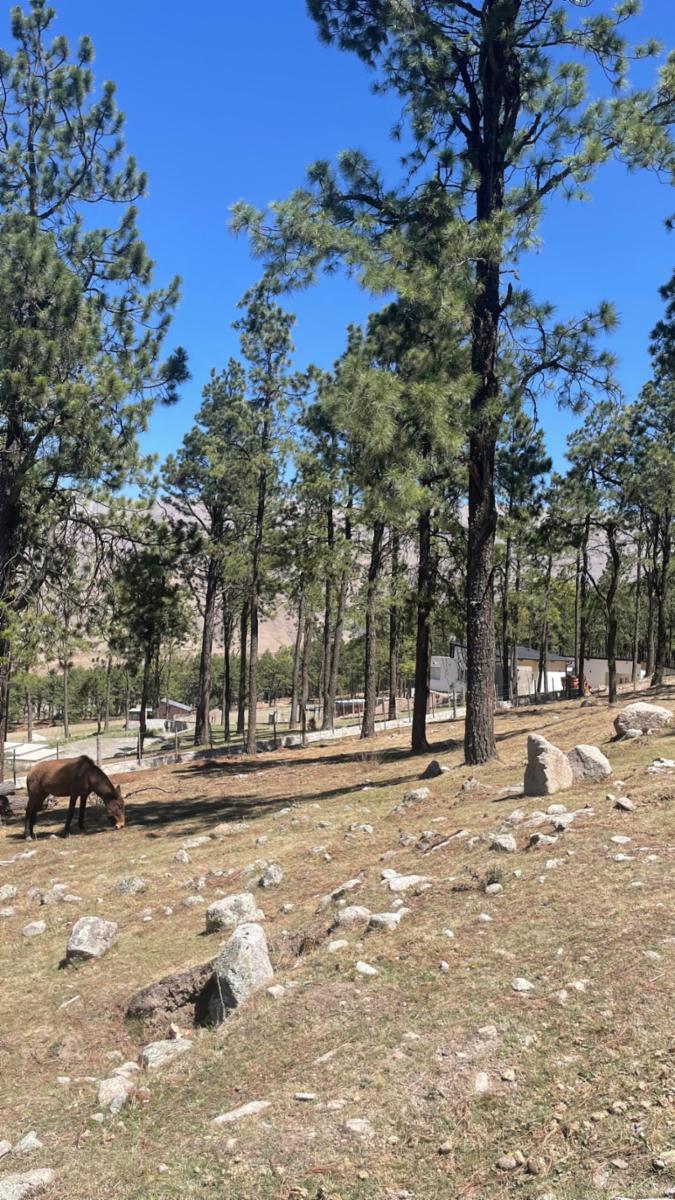 EN VENTA LOTE DE 2080 M2 EN EL PINAR, TAFI DEL VALLE — foto 2
