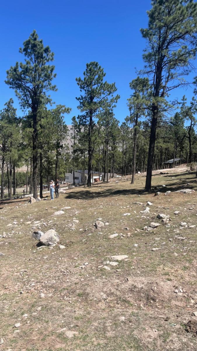EN VENTA LOTE DE 2080 M2 EN EL PINAR, TAFI DEL VALLE — foto 4