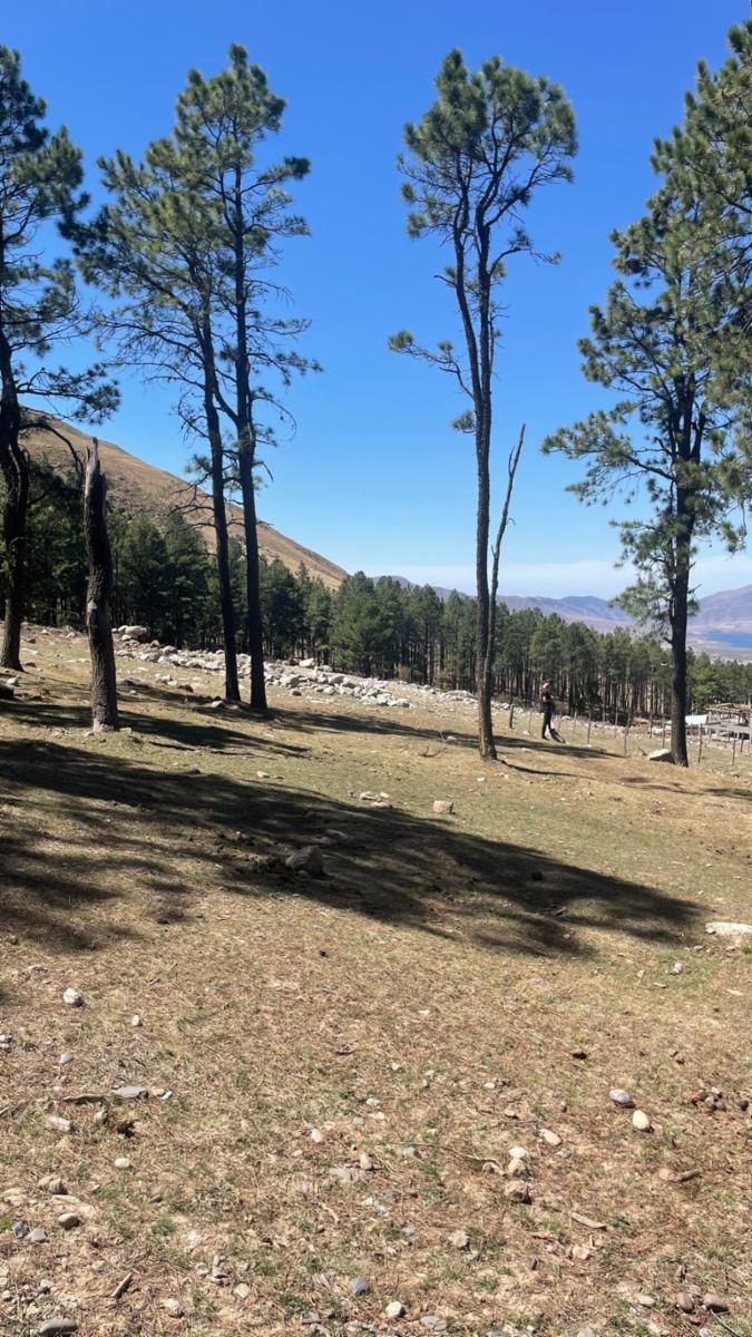 EN VENTA LOTE DE 2080 M2 EN EL PINAR, TAFI DEL VALLE — foto 5