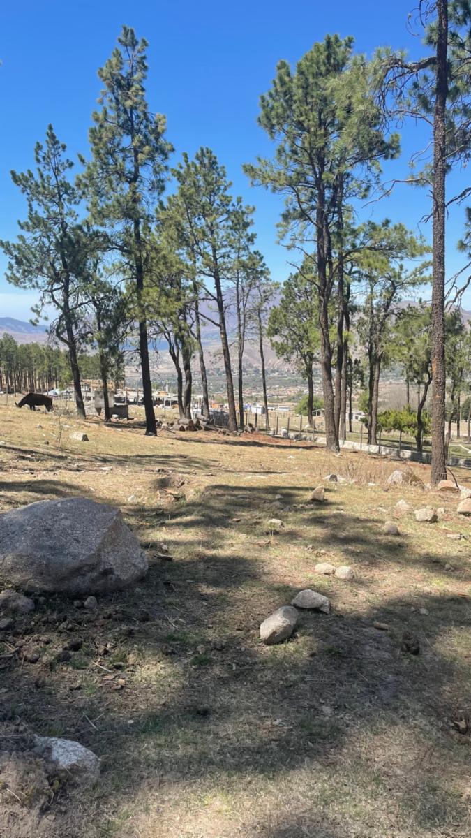 EN VENTA LOTE DE 2080 M2 EN EL PINAR, TAFI DEL VALLE — foto 6