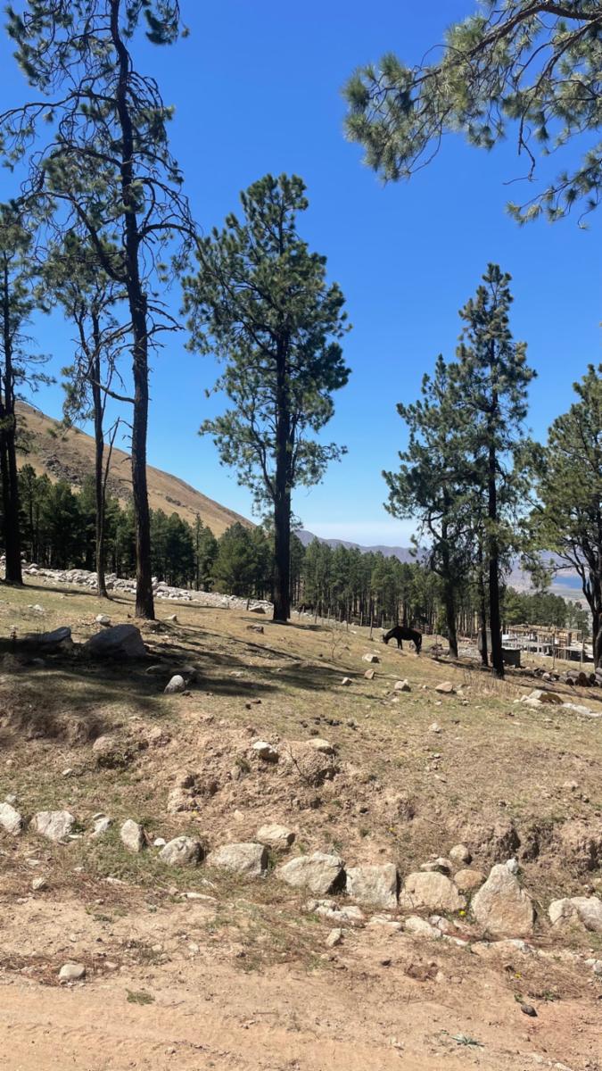 EN VENTA LOTE DE 2080 M2 EN EL PINAR, TAFI DEL VALLE — foto 7