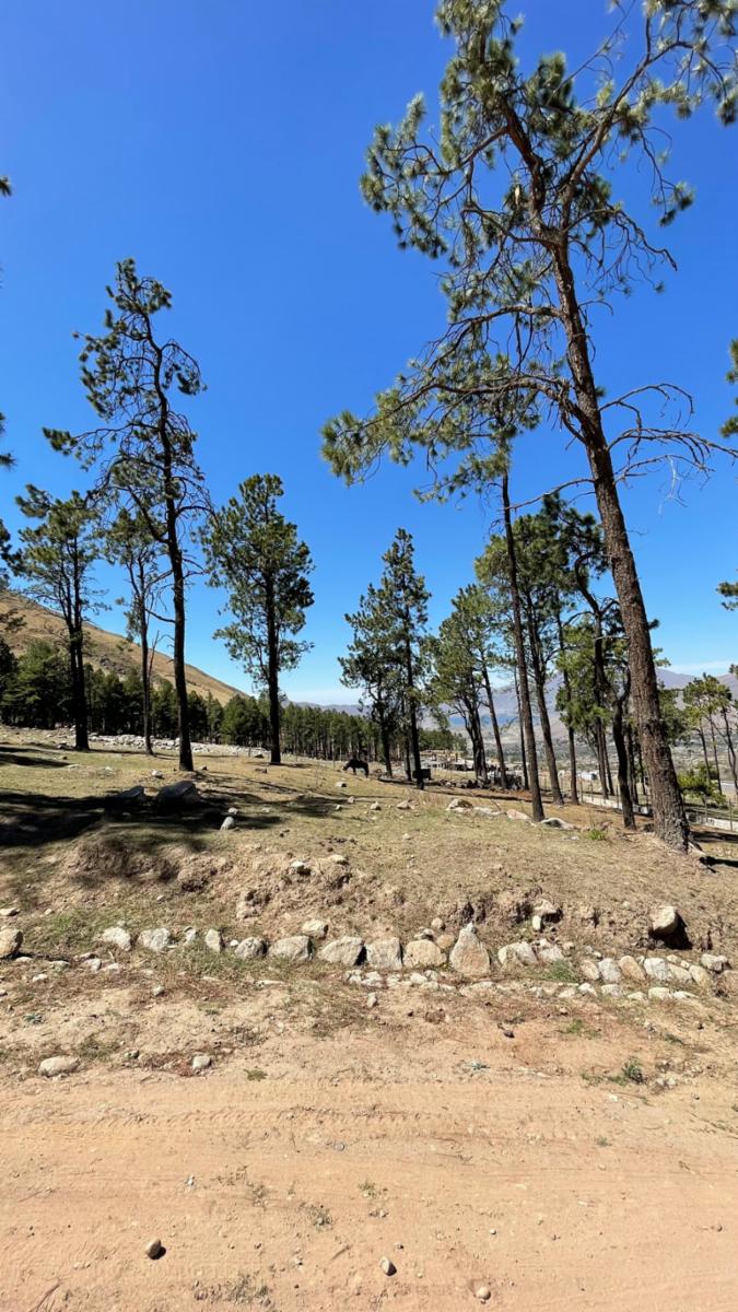 EN VENTA LOTE DE 2080 M2 EN EL PINAR, TAFI DEL VALLE — foto 9