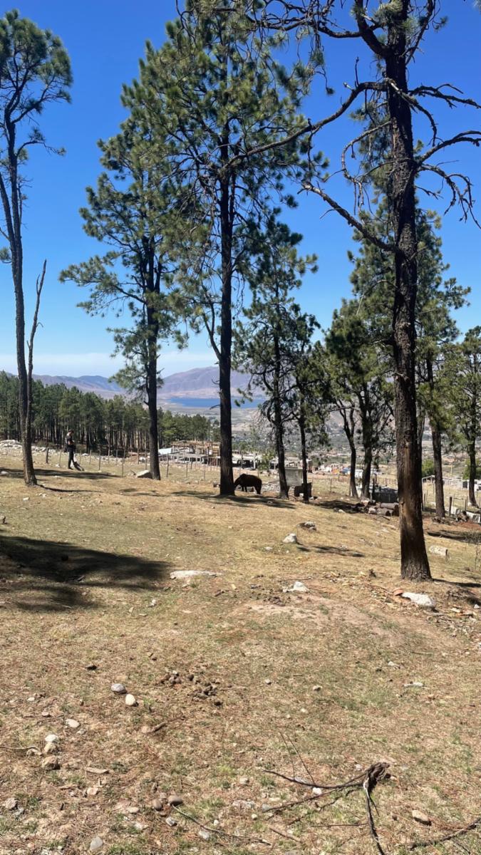 EN VENTA LOTE DE 2080 M2 EN EL PINAR, TAFI DEL VALLE — foto 10