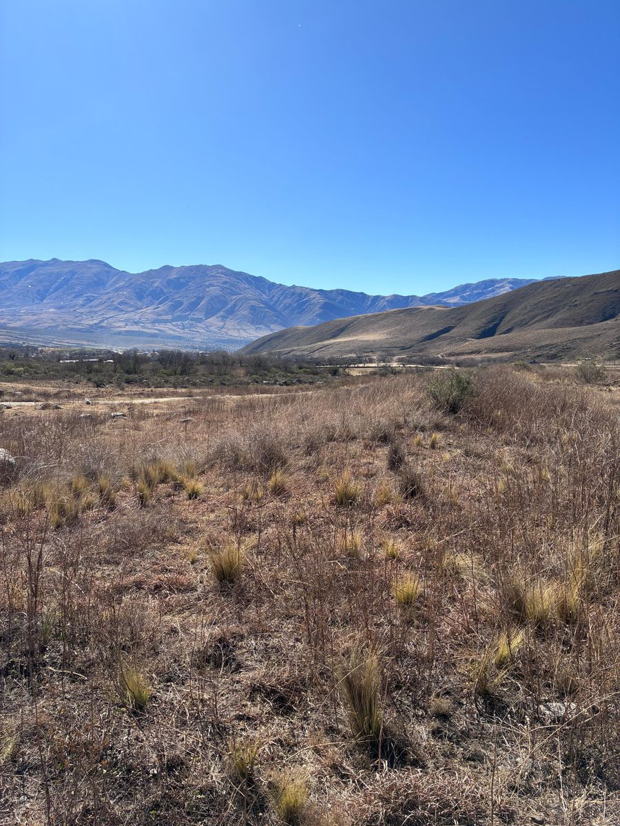 EN VENTA LOTES DE 4800 Y 5500 M2 EN EL RODEO, TAFI DEL VALLE