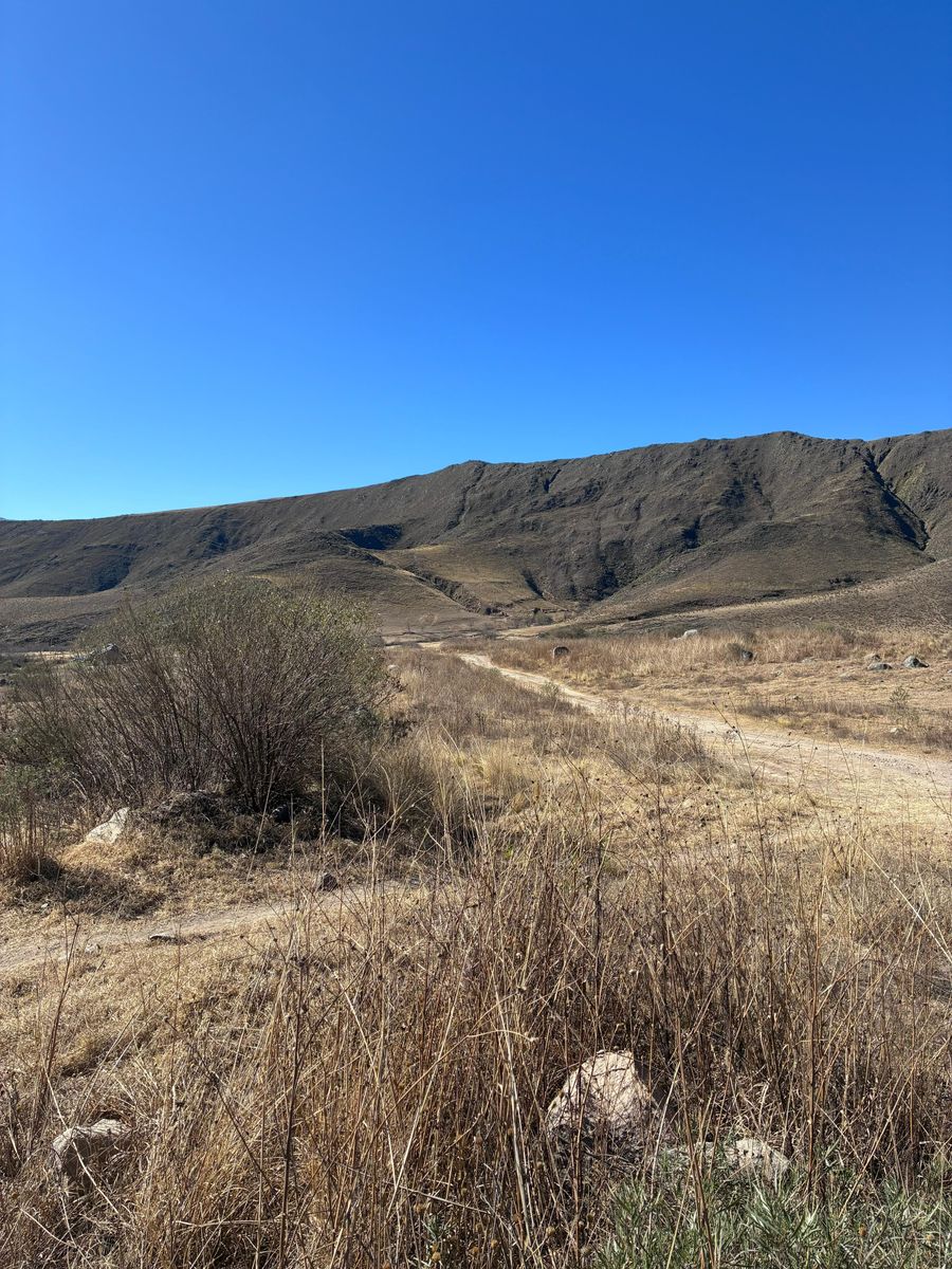 EN VENTA LOTES DE 4800 Y 5500 M2 EN EL RODEO, TAFI DEL VALLE — foto 3